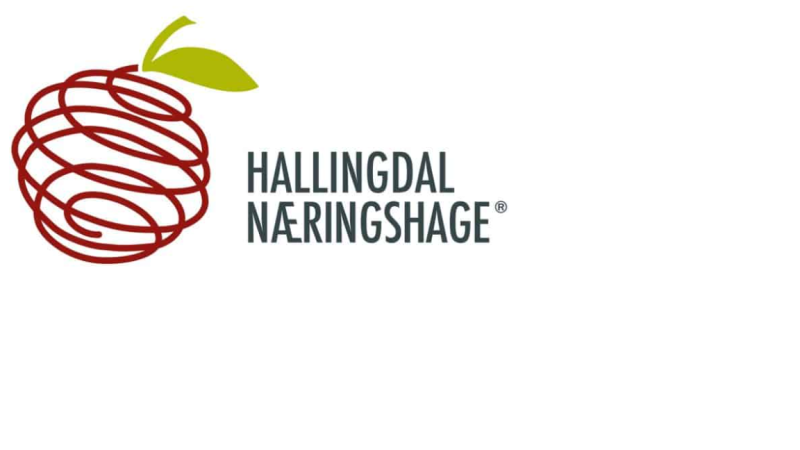 Hallingdal Næringshage (NHage)